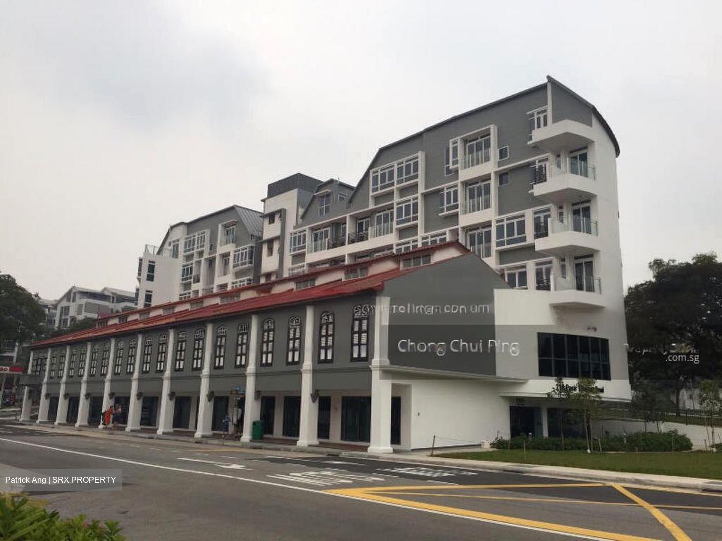 Icon @ Pasir Panjang (D5), Apartment #458191831